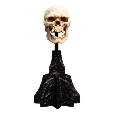 Le Seigneur des Anneaux statuette Skull of a Mordor Orc 14 cm